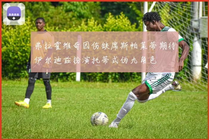弗拉霍维奇因伤缺席斯帕莱蒂期待伊尔迪兹扮演托蒂式伪九角色