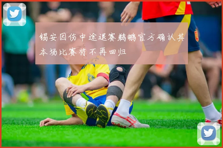 锡安因伤中途退赛鹈鹕官方确认其本场比赛将不再回归