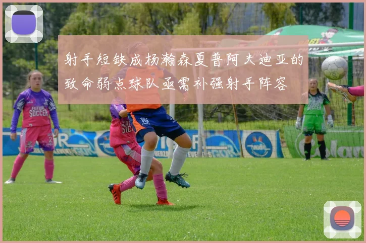 射手短缺成杨瀚森夏普阿夫迪亚的致命弱点球队亟需补强射手阵容