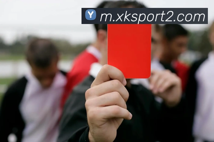 星空体育服务体系